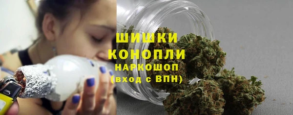 гашик Богородицк
