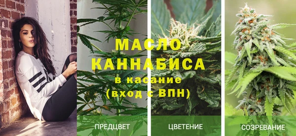гашик Богородицк