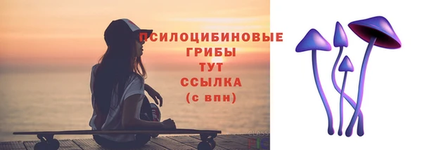 гидропоника Няндома
