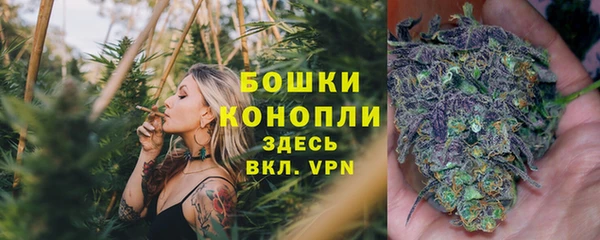 гидропоника Бронницы