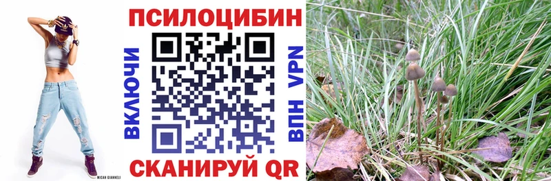 Галлюциногенные грибы ЛСД  Чебоксары 